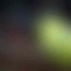 Gunter Demnig bei der Verlegung der Stolpersteine in Rastede