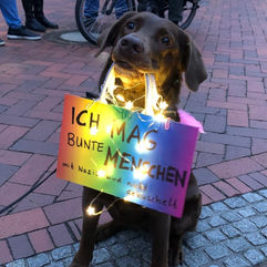 Hund mit Schild