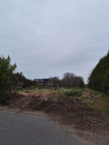 Kahlschlag in Edewecht