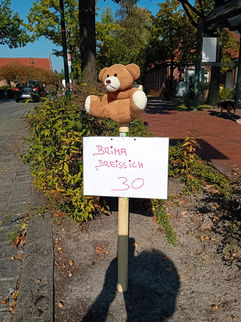 Teddybär wirbt für Tempo 30
