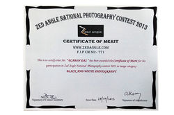 Certificate of Merit in the Zedangle National Photography Contest 2013