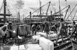 Petuaghat Fishing Harbour