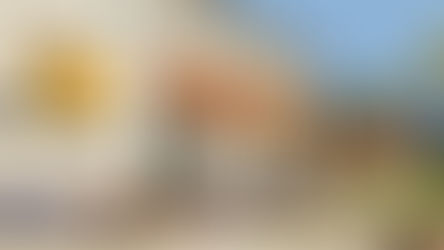 Tartine bakery sets sights on spring debut at Strawberry Village