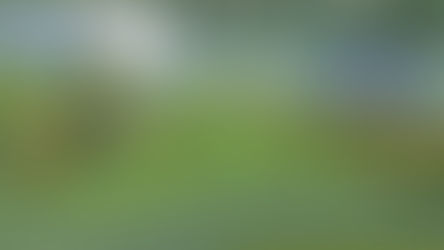 Competing designs for playground leave Strawberry Rec board wanting more answers