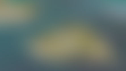 Angel Island plays key role in study showing one in five gray whales entering SF Bay die