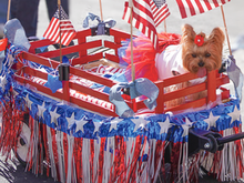 Party, paws & patriotism on Tiburon's Main Street