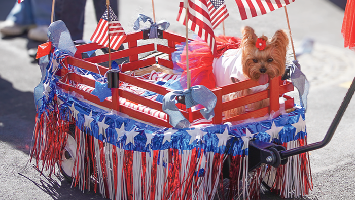 Party, paws & patriotism on Tiburon's Main Street