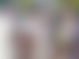 Little League team honors 1950s semipro Tiburon Pelicans with new name, uniforms