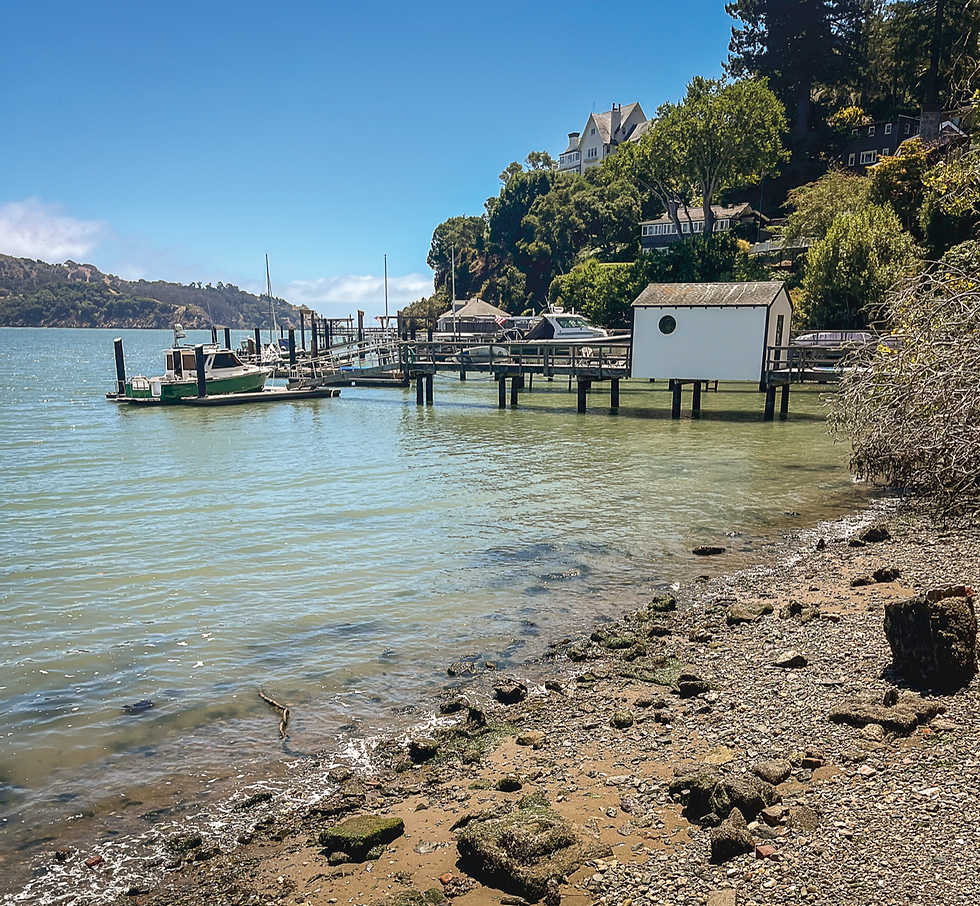 Belvedere Island’s rocky shoreline at the base of the Harry B. Allen public stairs, seen at low tide, marks the practical starting point of the Strip, the city-owned shoreline that runs behind Beach Road homes to 340 Beach Road. Private docks, piers and a boathouse line the shore beyond. (Tyler Callister / The Ark)