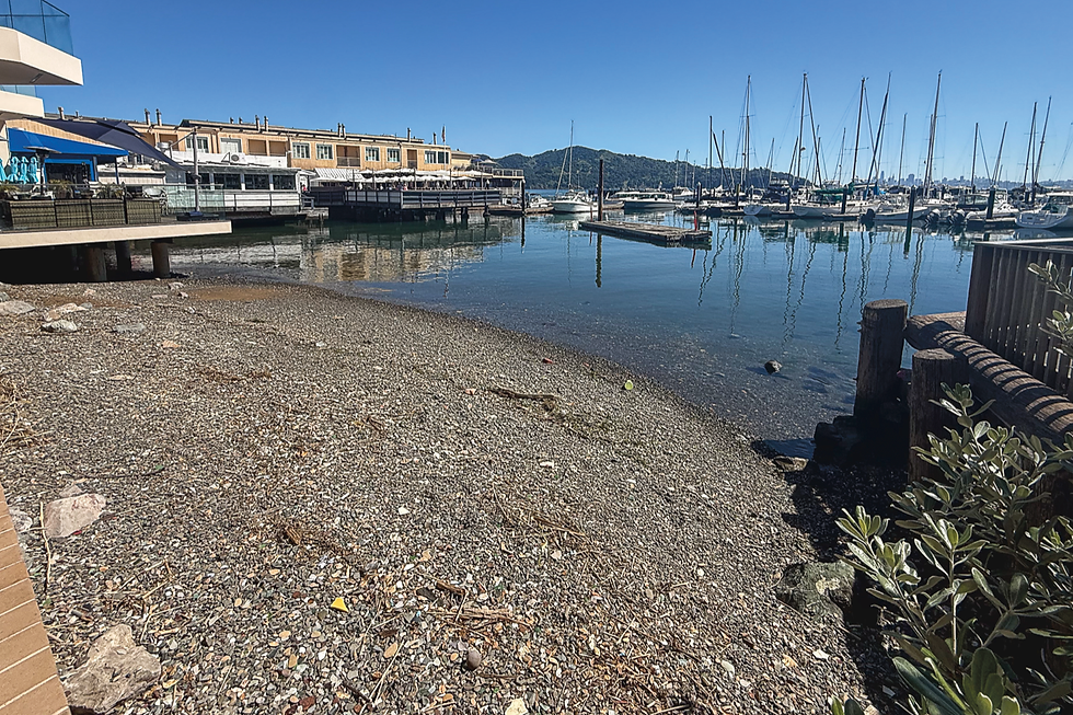 The rocky beach behind 41 Main St. in Tiburon, viewed from the shoreline, with the downtown Tiburon waterfront, Angel Island and the Corinthian Yacht Club marina in the background. (Kevin Hessel / The Ark)
