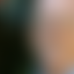 Steve McNamara was part-owner of The Ark, longtime owner of Pacific Sun