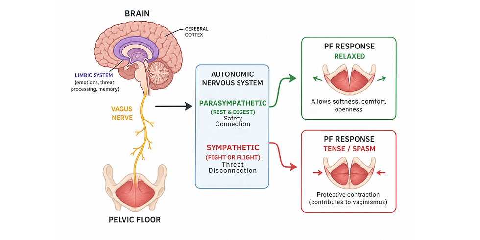 Is Vaginismus Just a Tight Pelvic Floor Problem?
