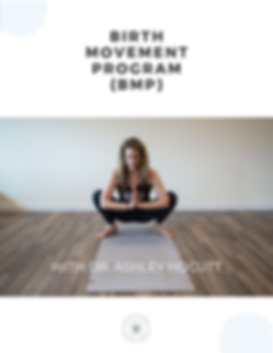 BIRTH MOVEMENT PROGRAM COVER (2).png