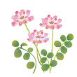 renge%20illust%201%20(1)_edited.png