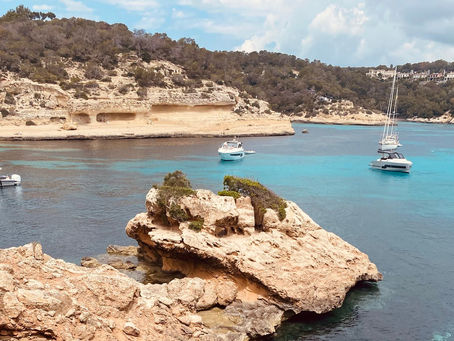 Freie Trauung auf Mallorca – Heiraten zwischen Olivenbäumen & Meeresrauschen