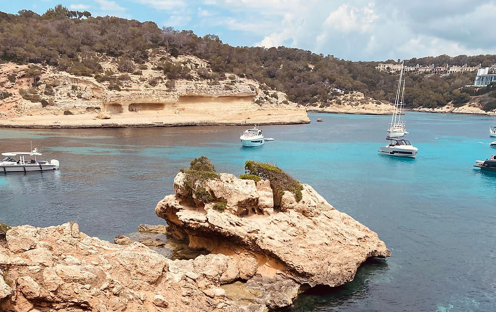 Freie Trauung auf Mallorca – Heiraten zwischen Olivenbäumen & Meeresrauschen