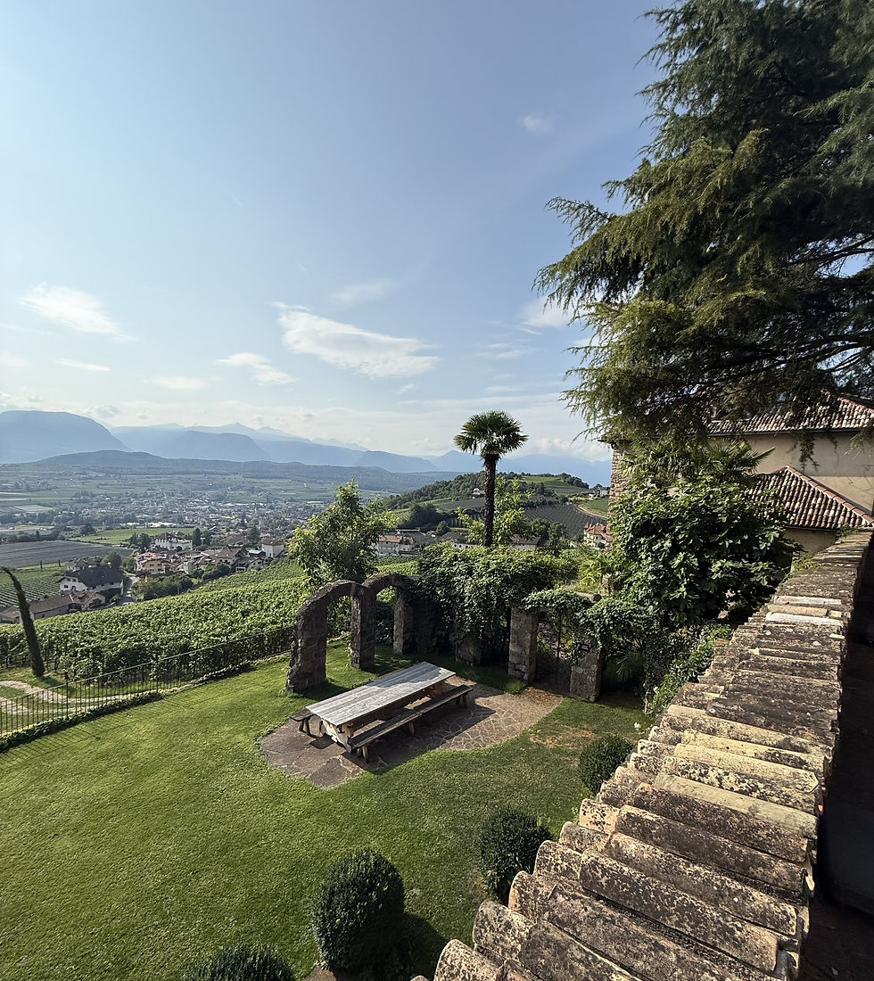Ausblick von Schloss Freudenstein