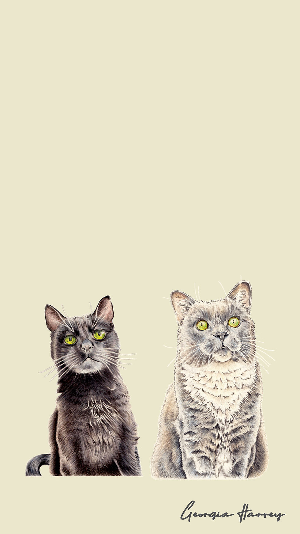 black cat and grey cat phone wallpaper