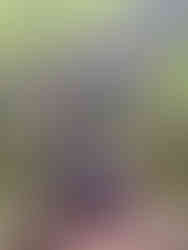 Jacek Lipinski Karate La Palma