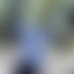 Jacek Lipinski Karate La Palma