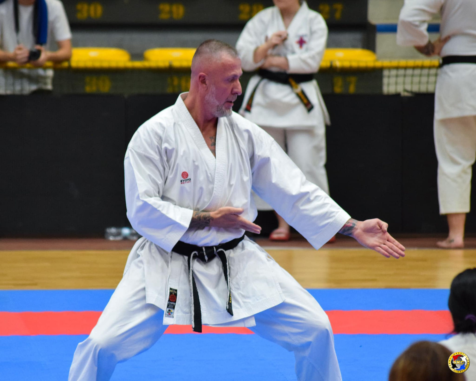 World Karate Confederation