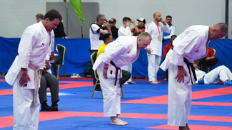 WKA KARATE