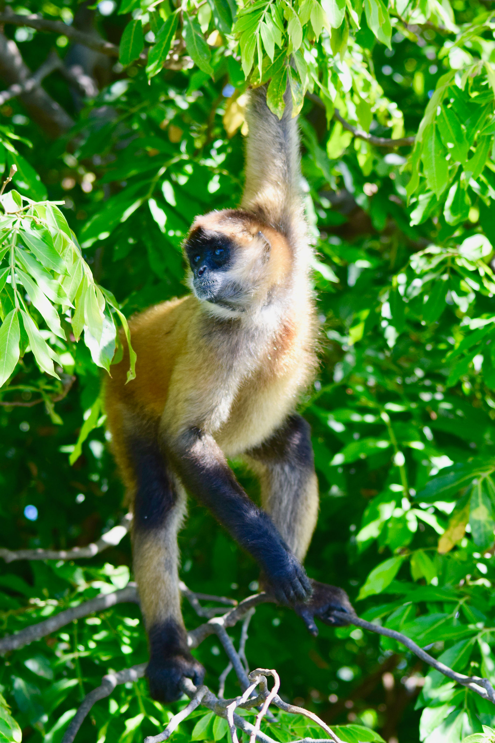 Nicaragua