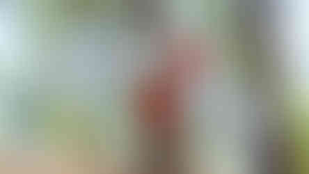 Jacek Lipinski Karate La Palma