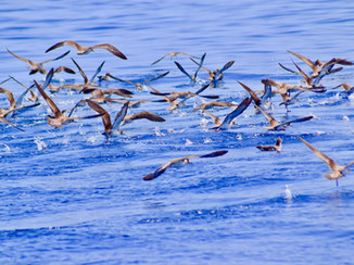 Jacek Lipinski Karate La Palma