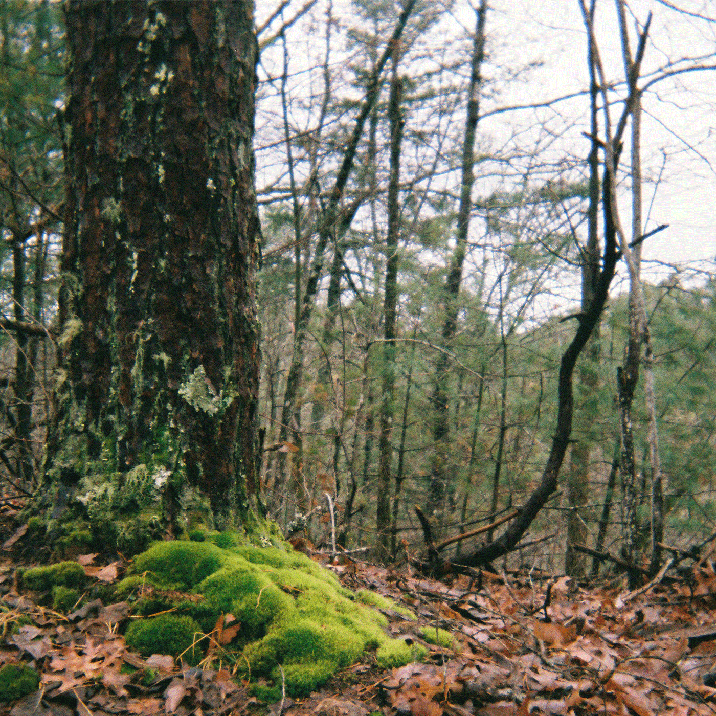 Dwelling-Album-Cover-For-Web-v1.gif