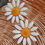 Thumbnail: VINTAGE DAISY EARRINGS - WHITE