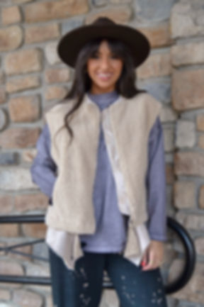 COZY LAYERS SHERPA ZIP-UP VEST - TAUPE