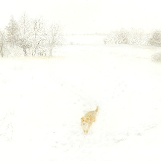 Making tracks.