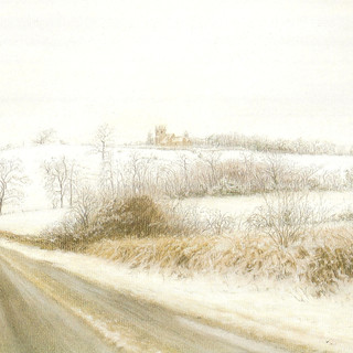 A winters landscape.
