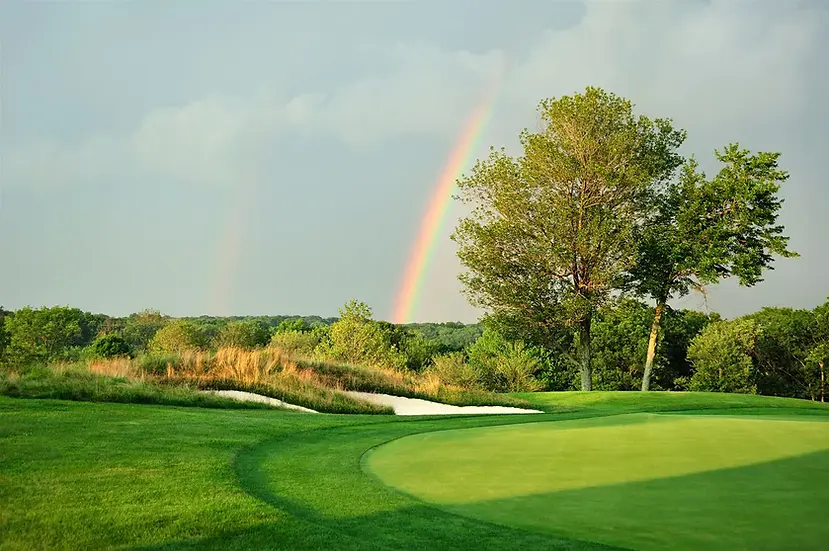 Rainbow20at20Richter.webp