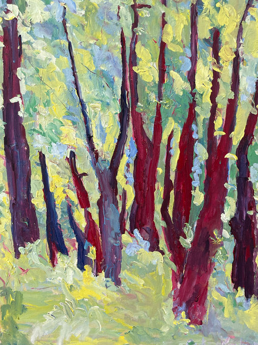 The Sun Filtering Through (264)