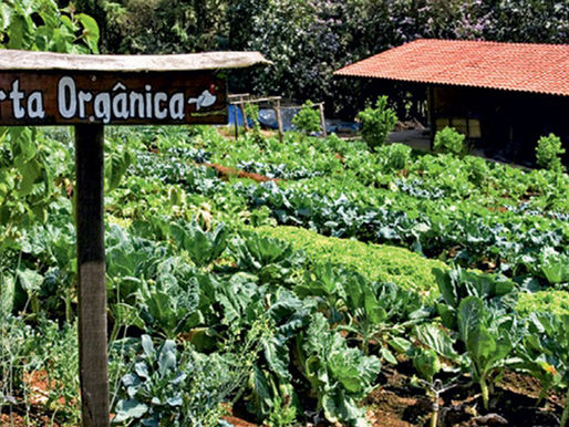 Política Nacional de Agroecologia e Produção Orgânica: Avanços e Retrocessos no período 2011-2021