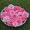 Thumbnail: Orchid romance high fragrance Patio tree rose