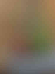 Still Life with Trumpet