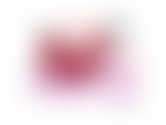 Beginning Anew