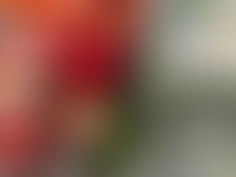 What I Feed My Toddlers in a Day: Simple, Healthy Meals We Actually Eat