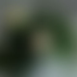 What Marriage Has Taught Me About Rest