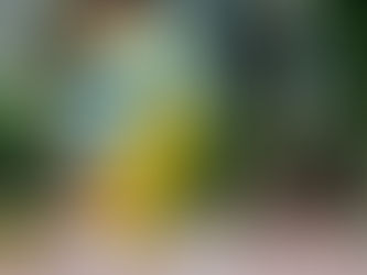 Our Last Year in Atlanta: The Full Bucket List