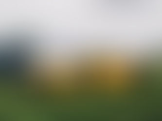 Audi Control Arms: A Comprehensive Guide