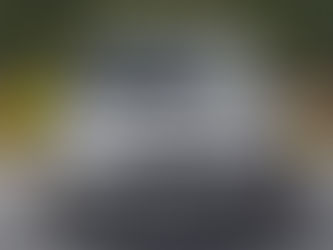 Skoda Hoses: A Comprehensive Guide