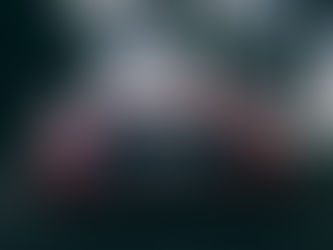 Audi Shocks: A Comprehensive Guide