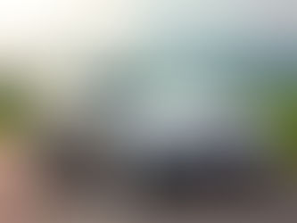 Common Problems of BMW 3 Series E91 316i: A Comprehensive Guide