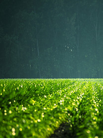 زجاجات بلاستيكية