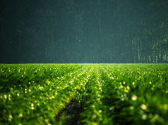 Project Drawdown: impact on sustainable agriculture and economic equality