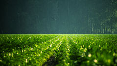 Project Drawdown: impact on sustainable agriculture and economic equality